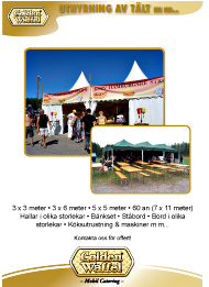 taltuthyrning_09